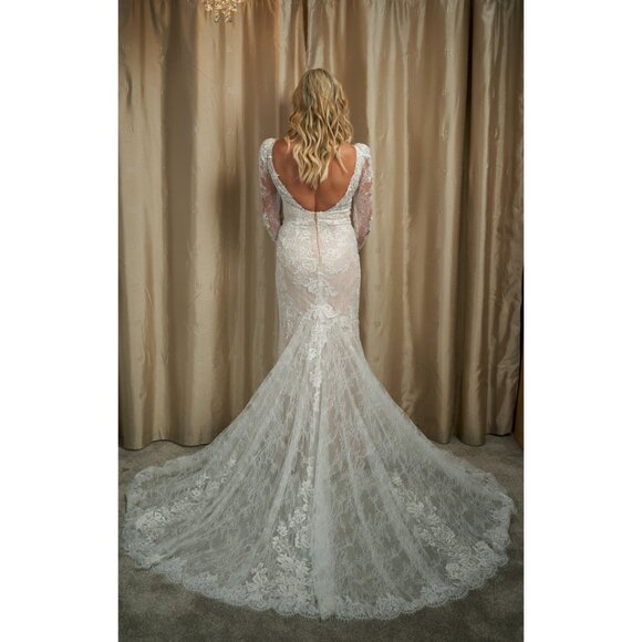 Pronovias Panjin Wedding Gown Size 14 Lace Long Sleeve - Picture 8 of 15